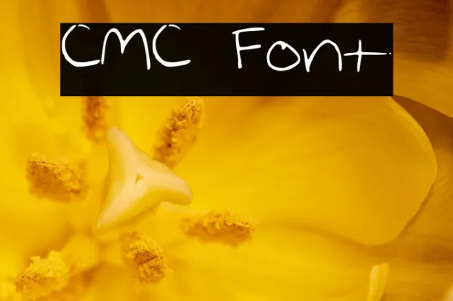 CMC Example 3
