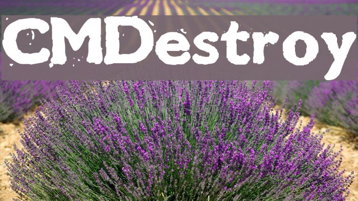 CMDestroy Font examples