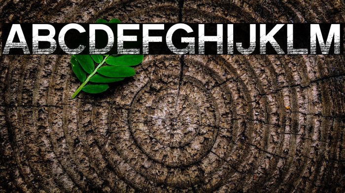 CMSansSerifAged-Medium Example 1