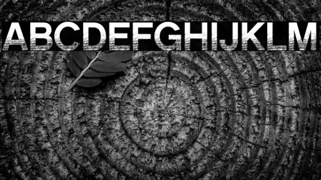 CMSansSerifAged-Medium Font examples