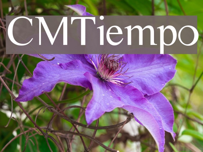 CMTiempo Font examples