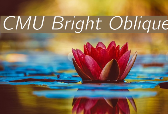 CMU Bright Oblique Font examples