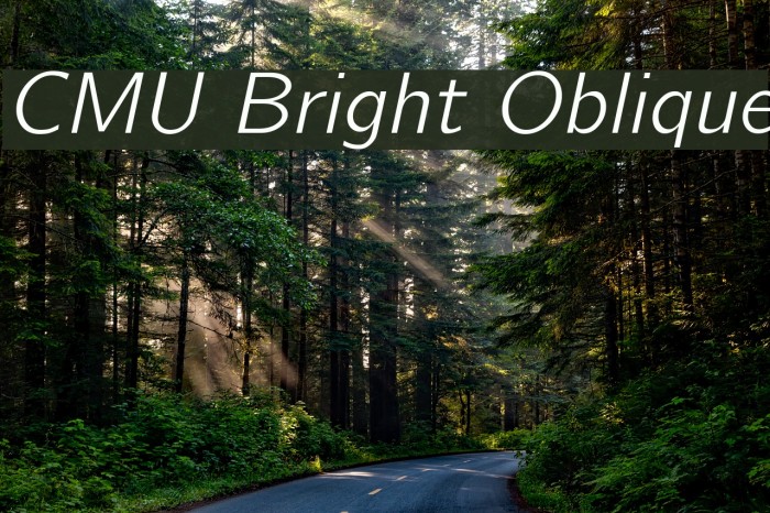 CMU Bright Oblique Font examples
