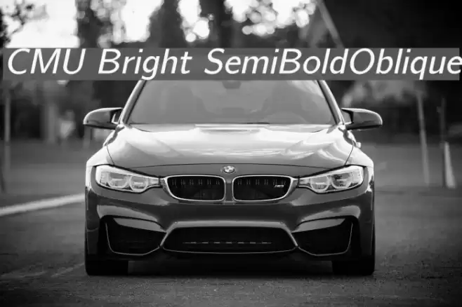 CMU Bright SemiBoldOblique Font examples