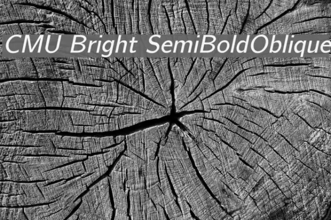 CMU Bright SemiBoldOblique Font examples