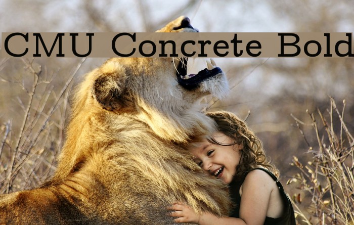 CMU Concrete Bold Font examples