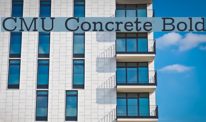 CMU Concrete Bold Font examples