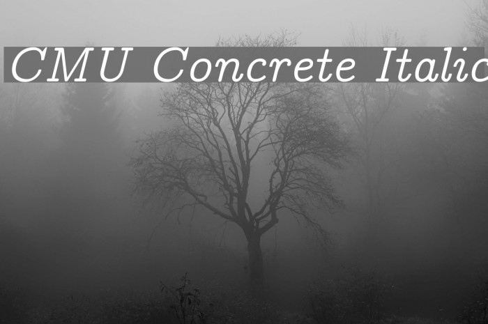 CMU Concrete Italic Font examples