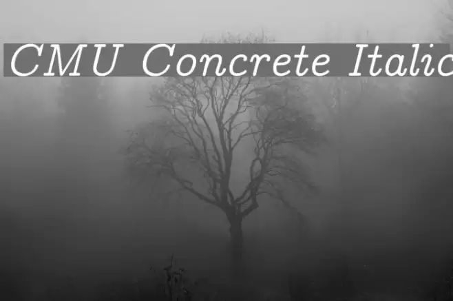 CMU Concrete Italic Font examples