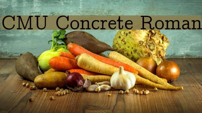 CMU Concrete Roman Font examples