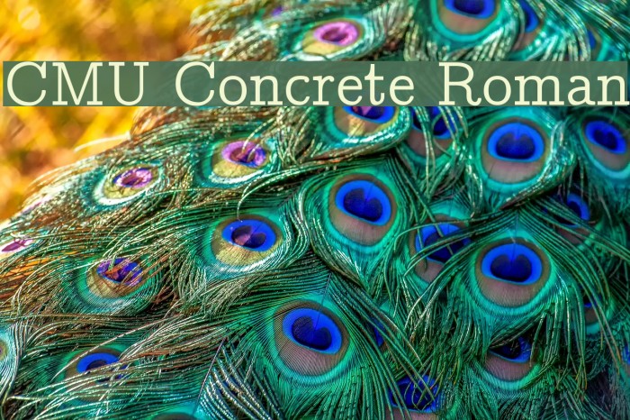 CMU Concrete Roman Font examples