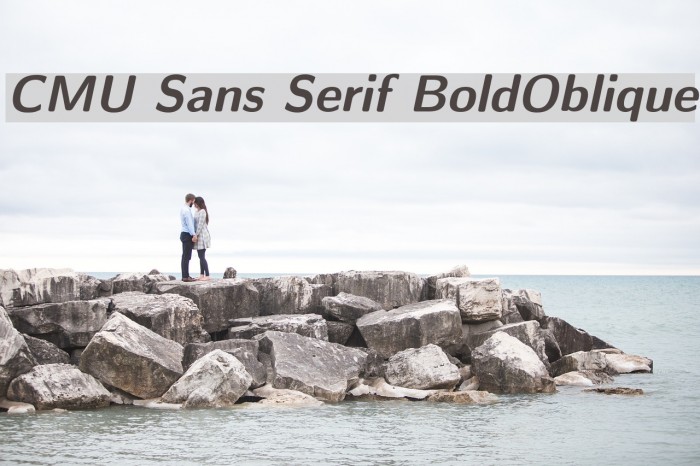 CMU Sans Serif BoldOblique Font examples