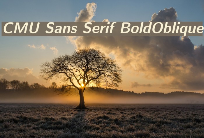 CMU Sans Serif BoldOblique Font examples
