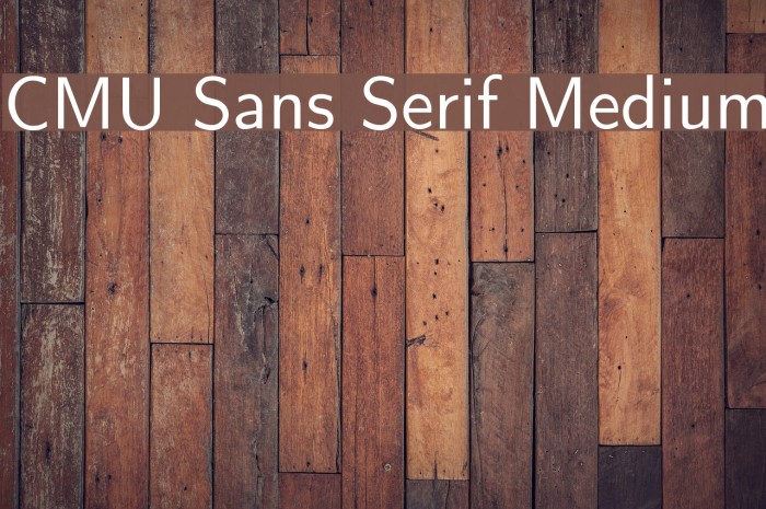 CMU Sans Serif Medium Font examples