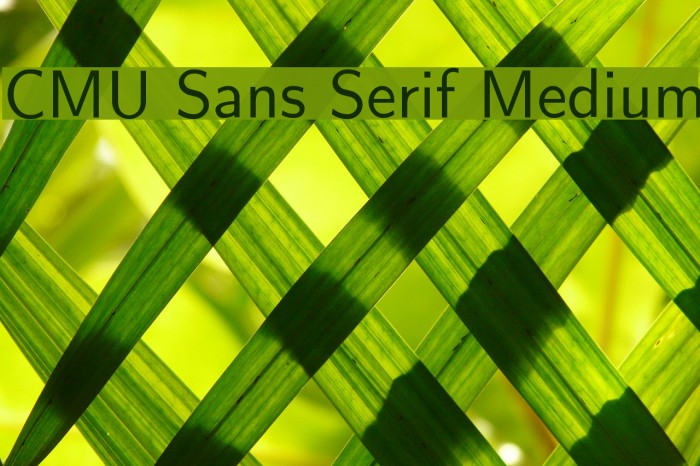 CMU Sans Serif Medium Font examples