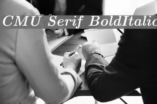 CMU Serif BoldItalic Font examples