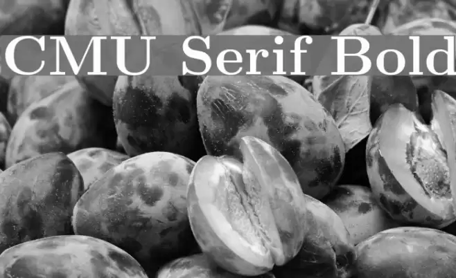 CMU Serif Bold Font examples