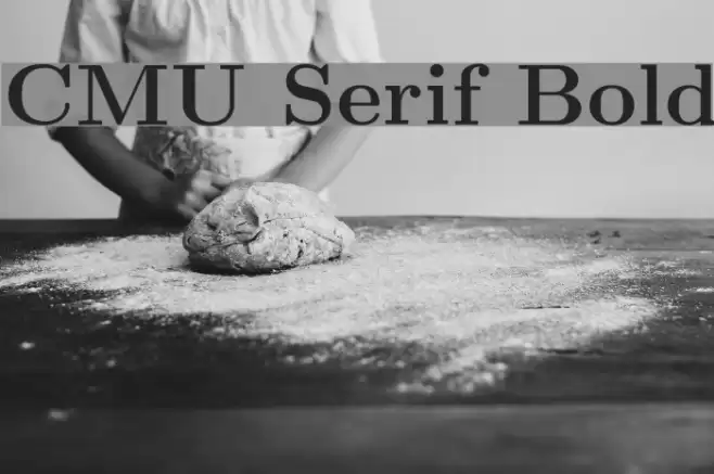 CMU Serif Bold Font examples