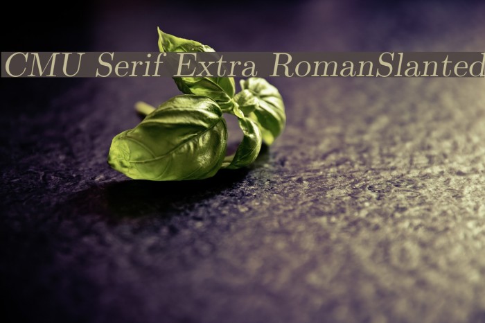 CMU Serif Extra RomanSlanted Font examples