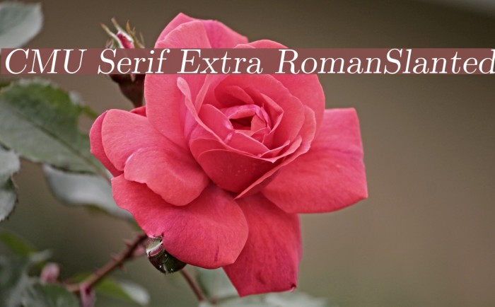 CMU Serif Extra RomanSlanted Font examples