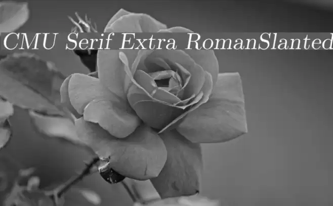 CMU Serif Extra RomanSlanted Font examples