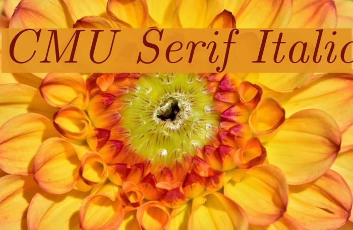 CMU Serif Italic Font examples