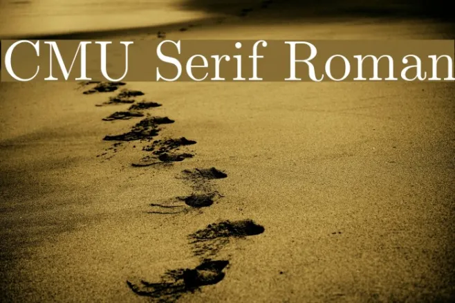 CMU Serif Roman Example 1