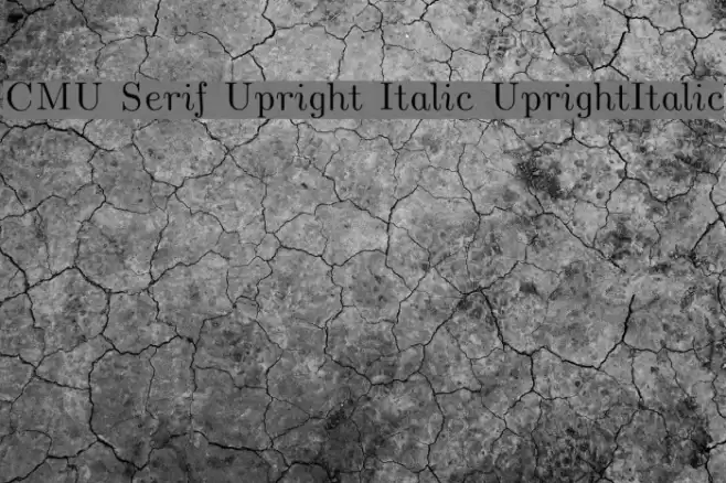 CMU Serif Upright Italic UprightItalic Font examples