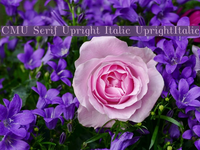 CMU Serif Upright Italic UprightItalic Font examples