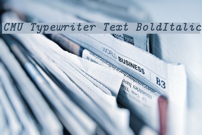 CMU Typewriter Text BoldItalic Font examples