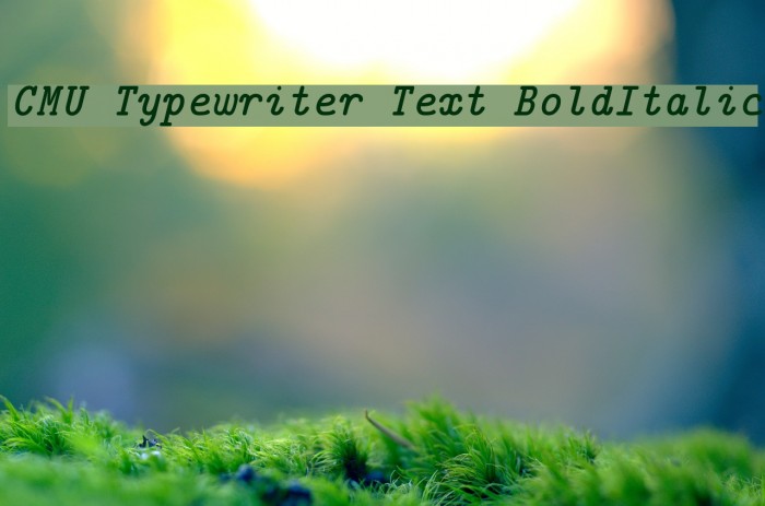 CMU Typewriter Text BoldItalic Font examples