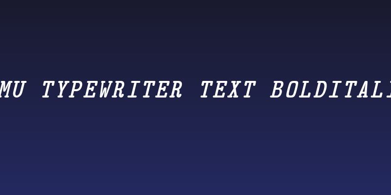 CMU Typewriter Text BoldItalic Social Header