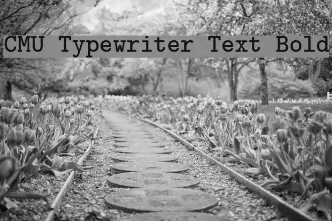 CMU Typewriter Text Bold Font examples