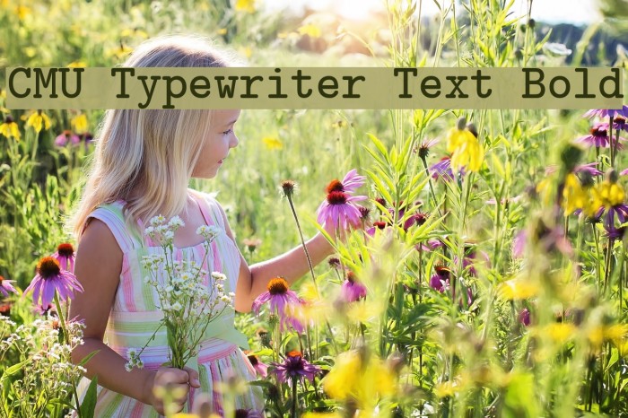 CMU Typewriter Text Bold Example 2