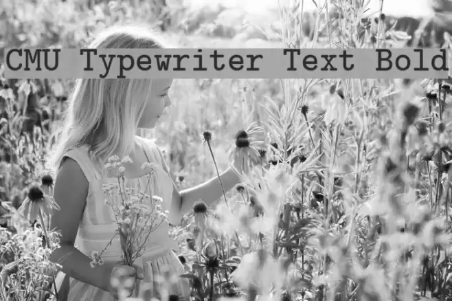 CMU Typewriter Text Bold Font examples