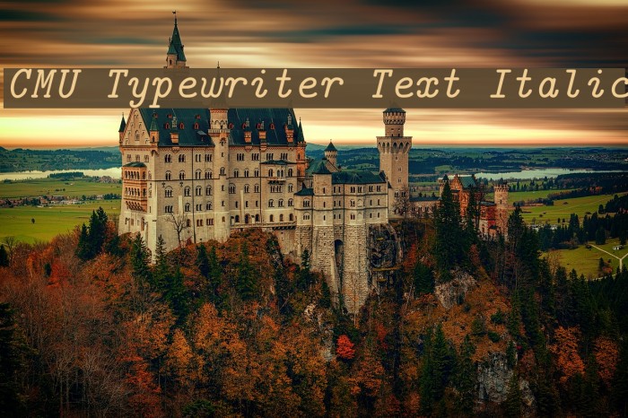 CMU Typewriter Text Italic Font examples