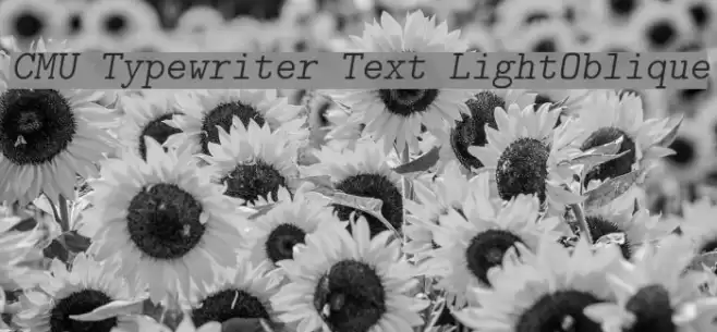 CMU Typewriter Text LightOblique Font examples