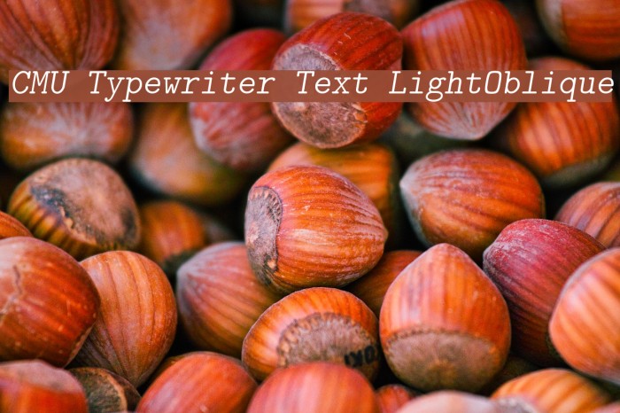 CMU Typewriter Text LightOblique Font examples