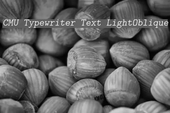 CMU Typewriter Text LightOblique Font examples