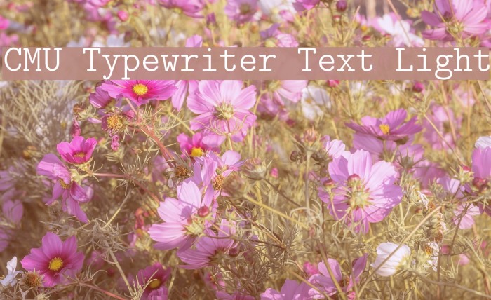 CMU Typewriter Text Light Font examples