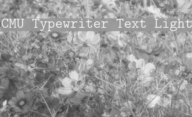 CMU Typewriter Text Light Font examples