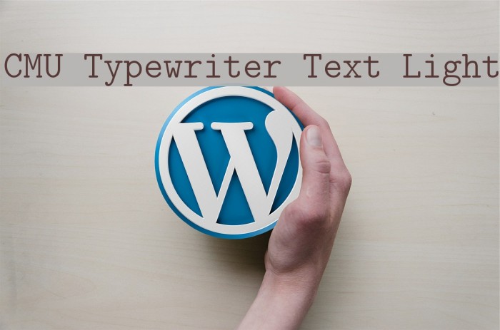 CMU Typewriter Text Light Font examples