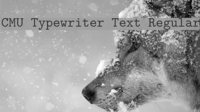 CMU Typewriter Text Regular Font examples