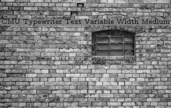 CMU Typewriter Text Variable Width Medium Font examples