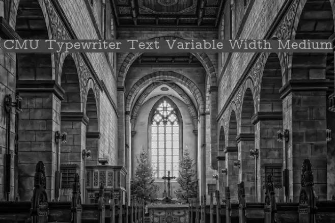 CMU Typewriter Text Variable Width Medium Font examples