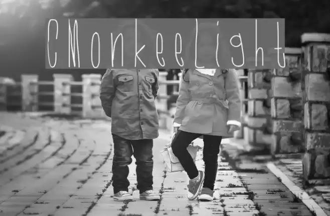 CMonkeeLight Font examples