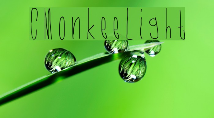 CMonkeeLight Font examples