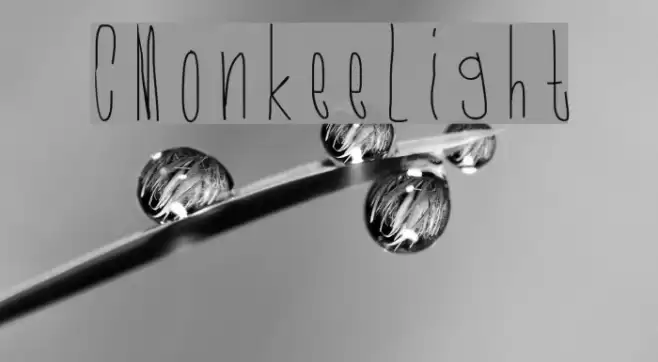 CMonkeeLight Font examples