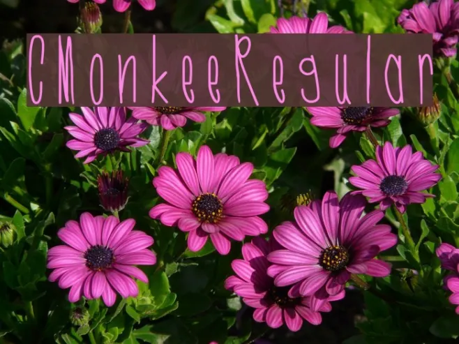CMonkeeRegular Example 3