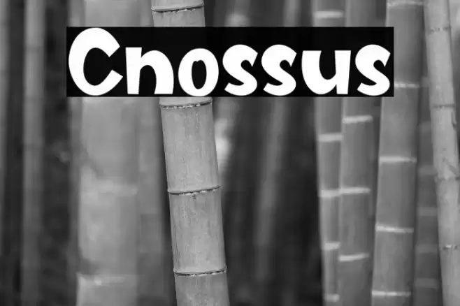 Cnossus Font examples